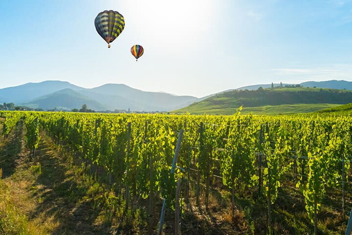 Cinq destinations françaises pour les gourmands