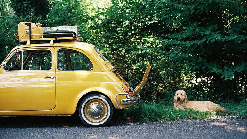 Fiat 500 e Oliver il cane
