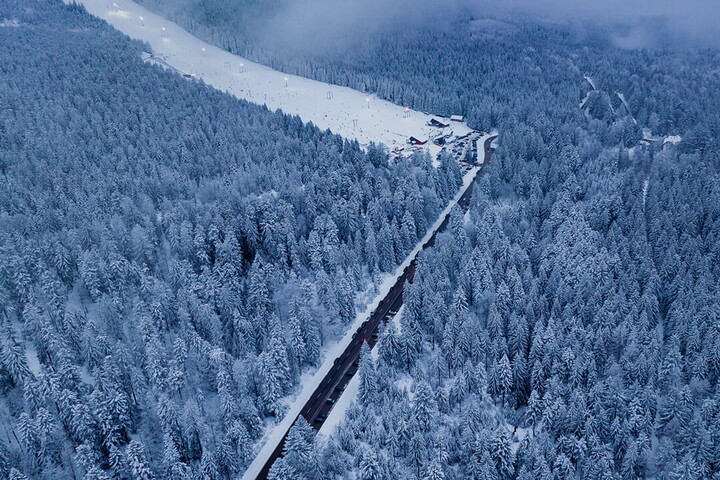 From the Black Forest to Lake Constance by car
