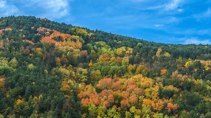 Col du Pourtalet